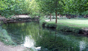 Fuentes del Marqués Caravaca